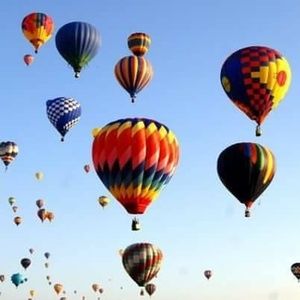 Meet your Posher, Marge